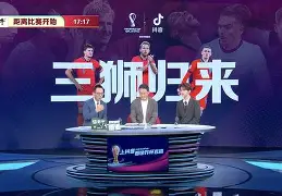 德国对决瑞典,比拼国际足球水平如何